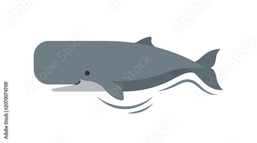 Photos Large Gray Whale Swimming Underwater.