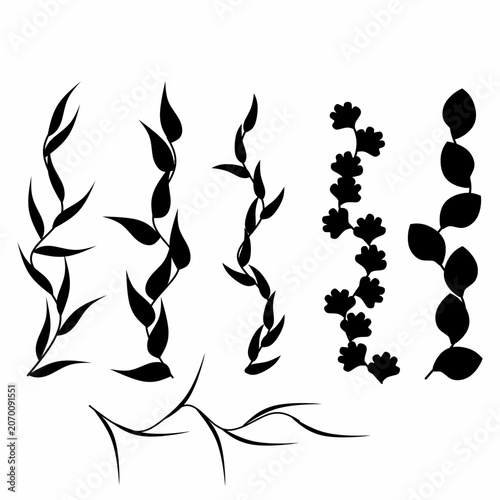 Vector illustration of botanical plants silhouette collection for wedding invitation illustration