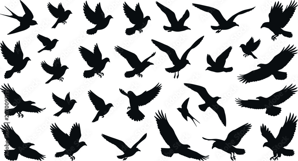 Obraz premium Collection of flying bird silhouettes vector set featuring black shapes of pigeons gulls crows and eagles in flight isolated on white background