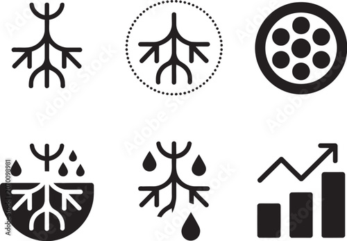Bilde på lerret Solid icon isolated roots lateral branch roots absorption zone roots cortex laye