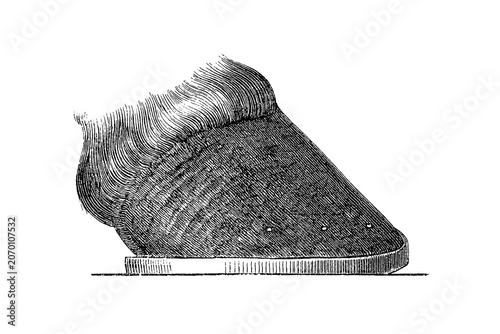 Fotografía Nailed-on front shoe viewed laterally to show toe direction, vintage farriery illustration, old vintage illustration, 1889