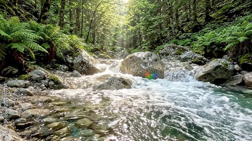 Mountain Stream Serenity Crystal clear water cascades over smooth stones in a vibrant forest sunlight filtering through the dense canopy creating a tranquil and refreshing natural scene