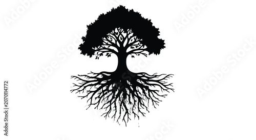 Tree with expansive roots stands as a symbol of growth and deep connection to earth.