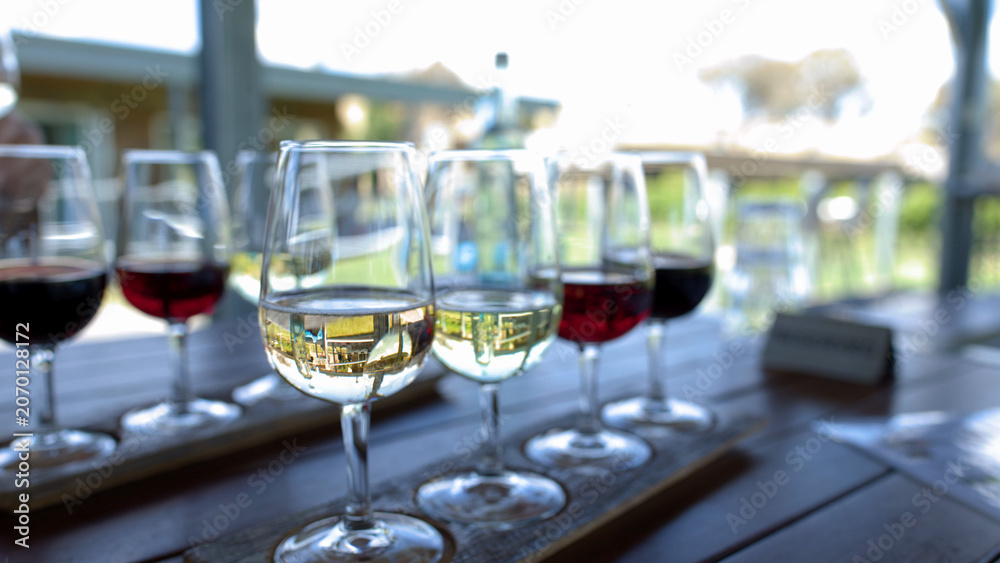 Fototapeta premium Flight of Red and White Wine Glasses on Outdoor Vineyard Table