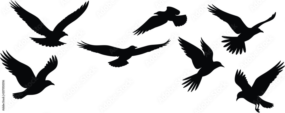 Fototapeta premium Flock of flying crows black silhouette group, migratory raven birds vector illustration design elements