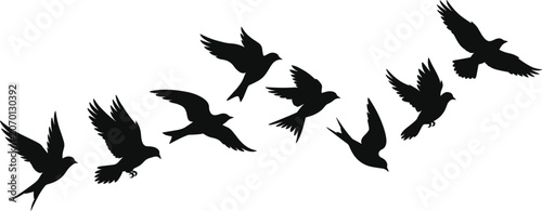 Foto Flock of flying birds silhouette group, migratory freedom nature background conc