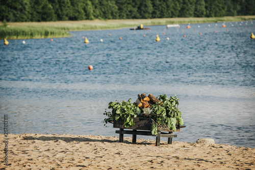 Εκτύπωση καμβά Wooden bench with assorted greenery and logs placed on sandy beach near calm lak
