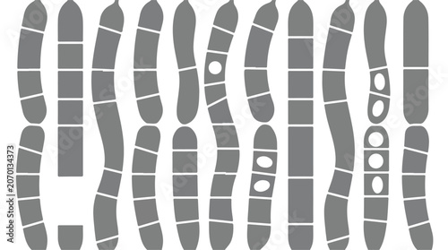 Photos Microscopic fungi spores and mold bacteria vector icons