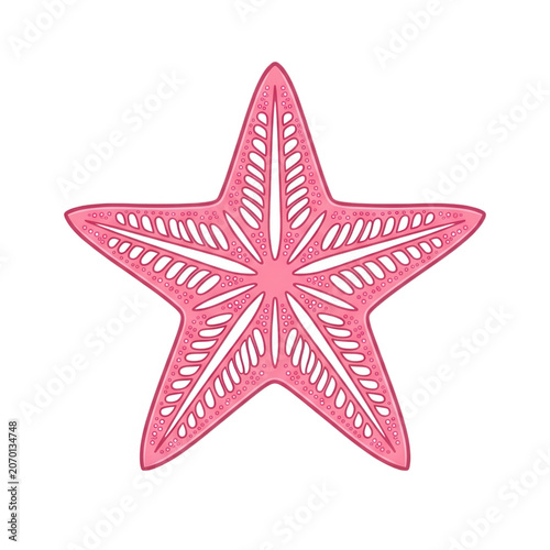 Pink Starfish Design Element Transparent Background