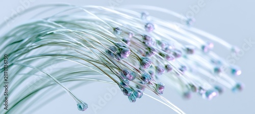 Delicate floral arrangement with pastel-colored buds on thin stems