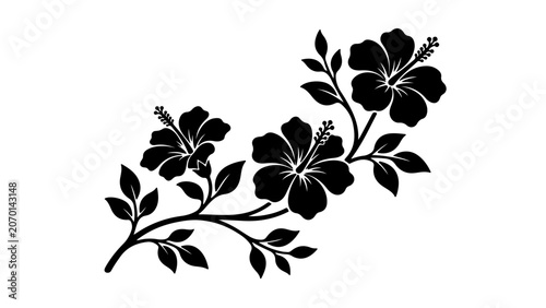 Black silhouette of a tropical hibiscus flower branch with blooming petals and leaves for decorative floral design element