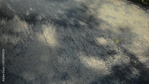 Sunlit Texture Of A Damp Mossy Concrete Drainage Ditch With Soft Tree Shadow Patterns