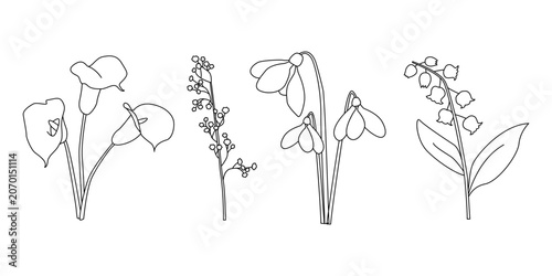 Minimalist line drawings of calla lilies, mimosa, snowdrops, and lily of the valley, elegant botanical illustrations for design and creative projects