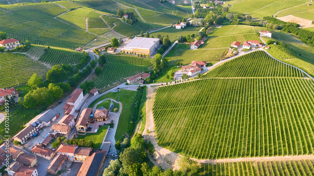 Fototapeta premium Aerial View of Barolo Village and Lush Vineyards in Piedmont Italy