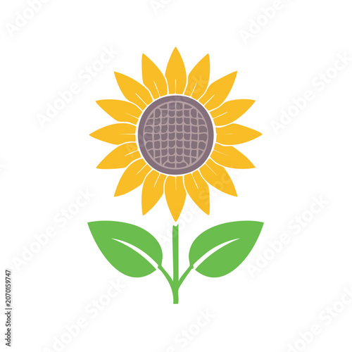 Flat vector illustration of a sunflower