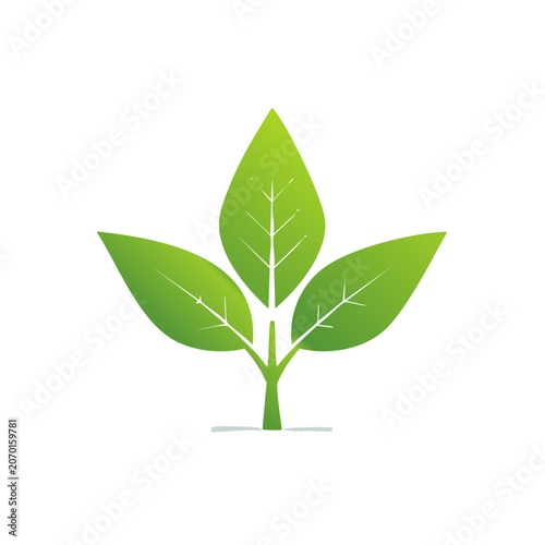 Green leaf plant vector illustration