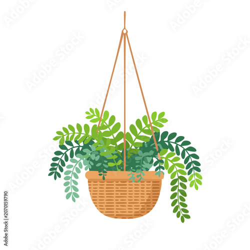 Hanging basket with green foliage plant illustration