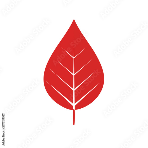 Red Maple Leaf Vector Icon