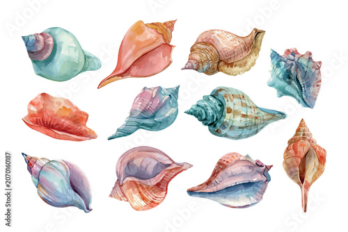 Tableau sur toile Seashells forming a seamless watercolor pattern, showcasing diverse spiral and f
