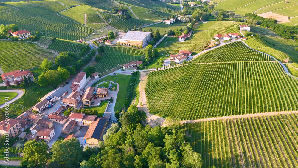 Fototapeta premium Aerial View of Barolo Village and Lush Vineyards in Piedmont Italy