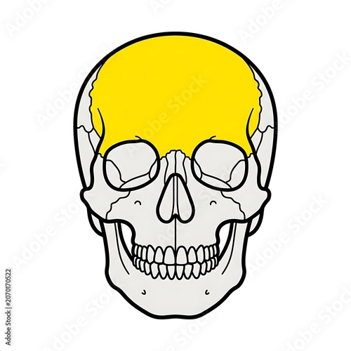 Yellow cartoon skull face isolated on white.