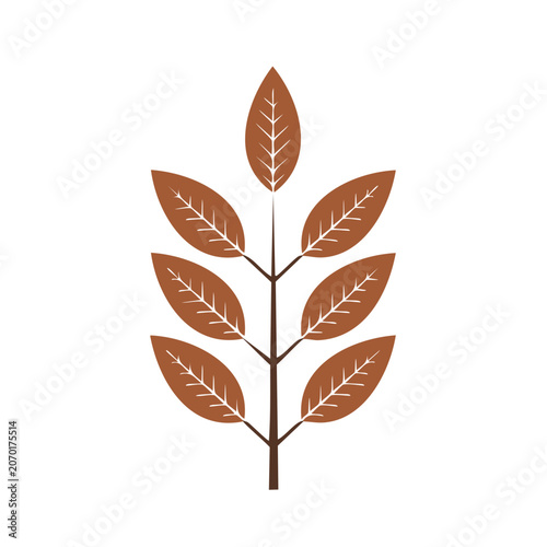 Autumn Leaf Branch Vector Illustration