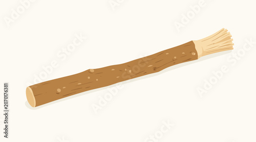 Traditional miswak stick natural wooden toothbrush, flat vector illustration of salvadora persica chewing stick for organic dental hygiene and oral care isolated on a clean light background.