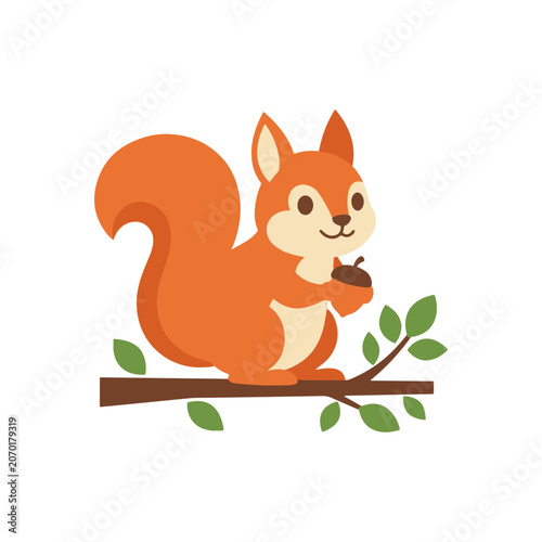 Squirrel Cute