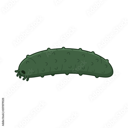 Sea Cucumber Marine Life