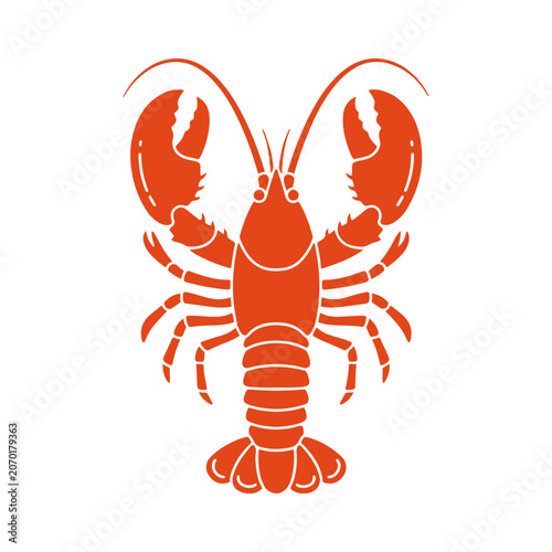 Fresh Shrimp Illustration