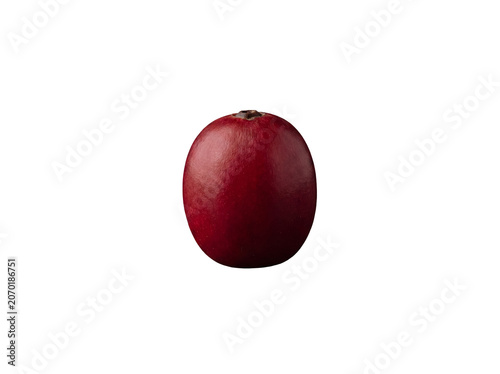 Slika na platnu Perfectly formed single red coffee cherry fruit, gleaming with freshness, isolated on a clean transparent background