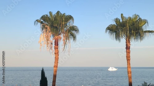 A serene tropical beach scene with palm trees and a yacht on calm waters under a clear blue sky.