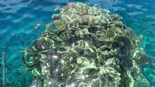 Clear blue water reveals a vibrant coral reef beneath the surface, showcasing marine life and underwater textures.