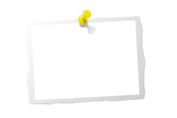Photo card attached with a push pin isolated on a transparent background.
