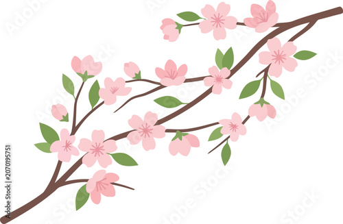 Beautiful blooming cherry blossom branch with pink flowers and green leaves in a simple artistic hand drawn illustration style for spring and nature designs