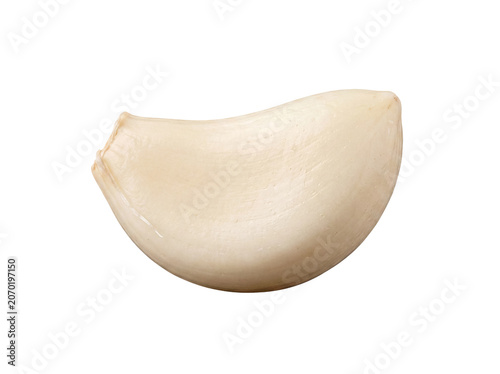 Photos Freshly peeled single garlic clove, showcasing its smooth texture and vibrant white color