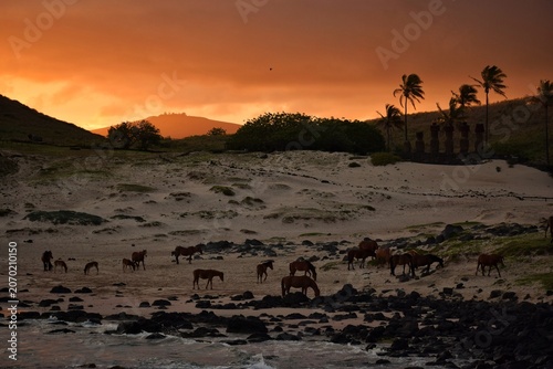 Tableau sur toile ANAKENA - RAPA NUI