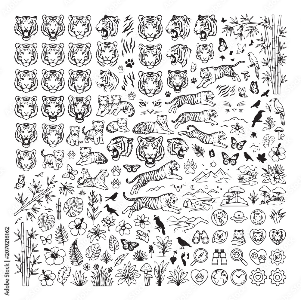 Fototapeta premium Hand drawn tiger illustration set, black and white jungle animal vector icons, wild cat heads and tropical nature elements for safari branding