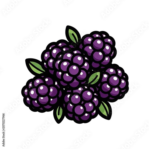 Purple grapes with green leaves on white background.