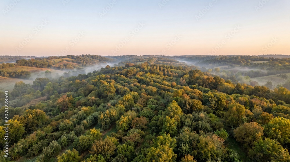 Fototapeta premium Aerial view of regenerative food forest system at sunrise with morning mist over rolling hills