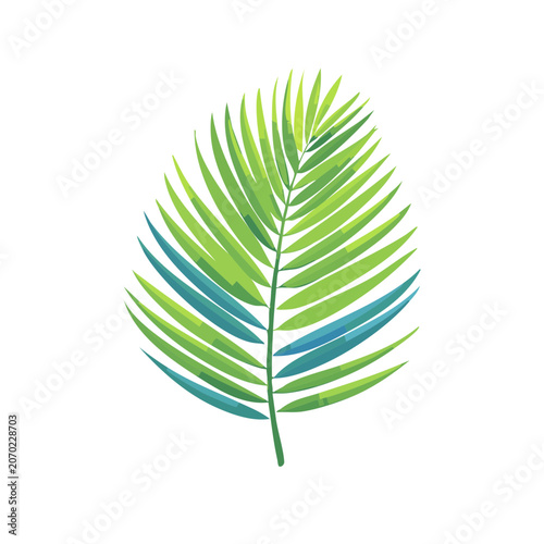 Tropical Palm Leaf Vector Illustration