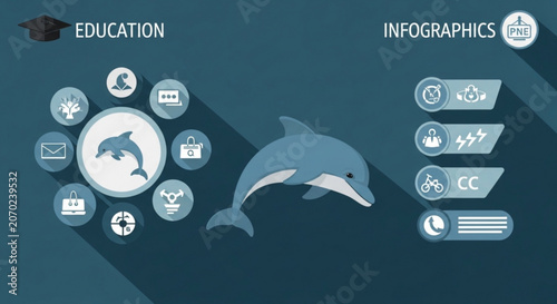 Dolphin education infographic with icons