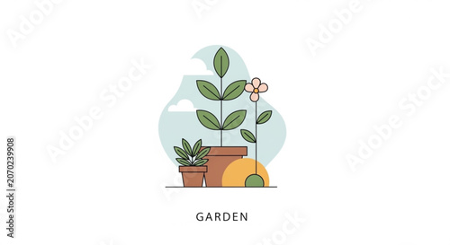 Potted plants with green leaves