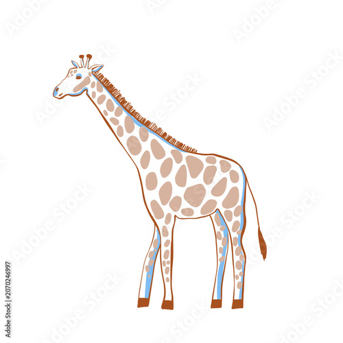 Photography Safari giraffe cute illustration in doodl style