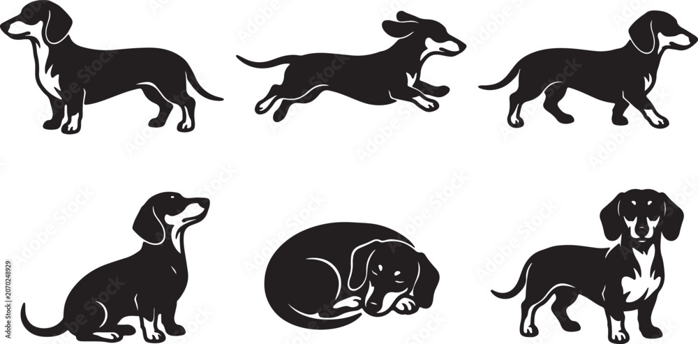 Obraz premium Dog Silhouette Collection with Standing Running Sitting and Sleeping Poses Isolated Vector Illustration Set