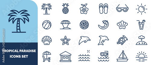 Tropical summer vacation set, outline of palm tree, pineapple, beach ball, sunglasses, dolphin, turtle, and sailing boat