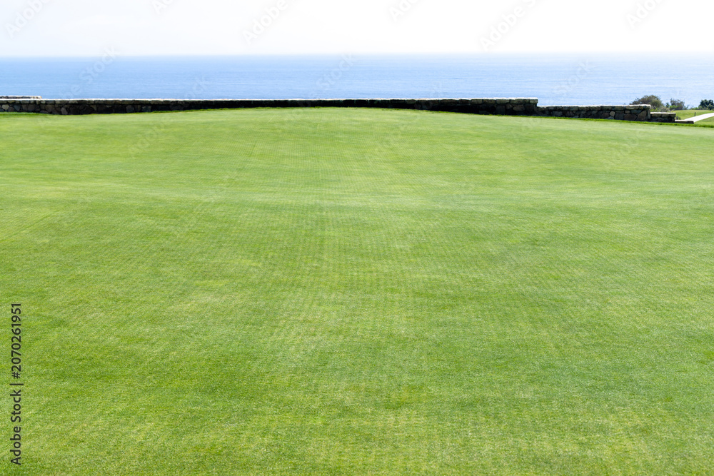 Obraz premium Green lawn background with copy space