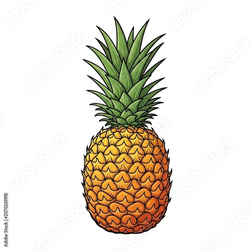 Pineapple plant with green leaves in pot.