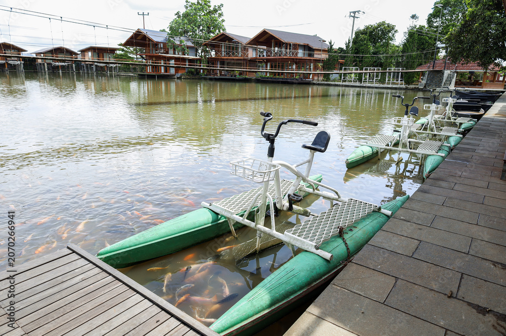 Naklejka premium Pedal Water Bikes Along Stone Path By Pond Filled With Swimming Fish