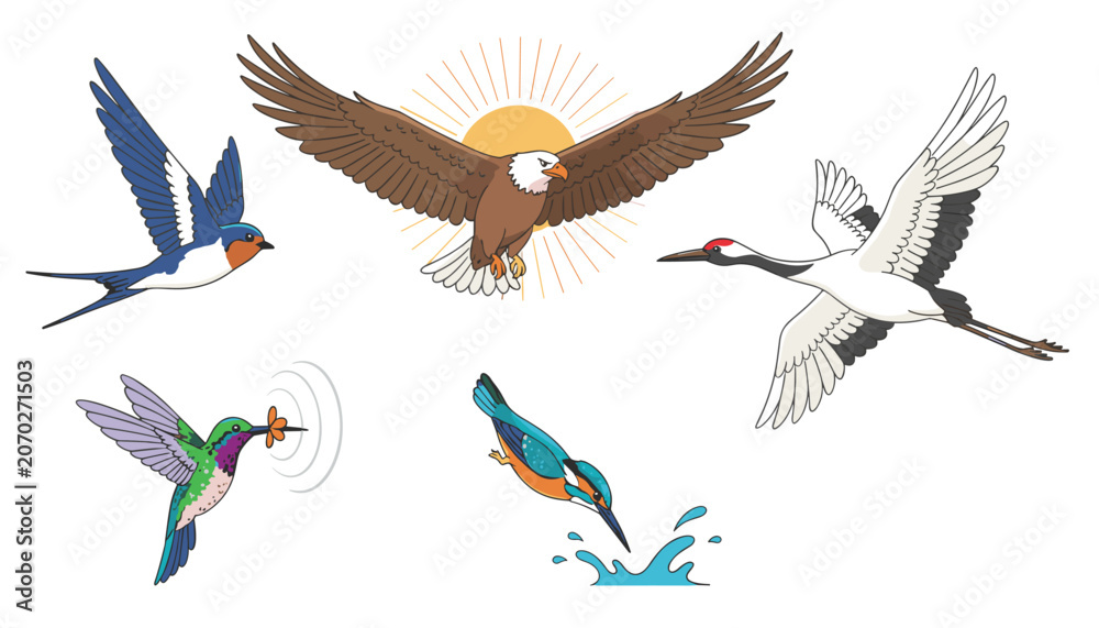 Obraz premium Colorful flying birds vector collection showcasing swallow, crane, hummingbird, kingfisher, and eagle in front of sun.